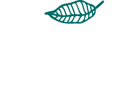Myra Alam