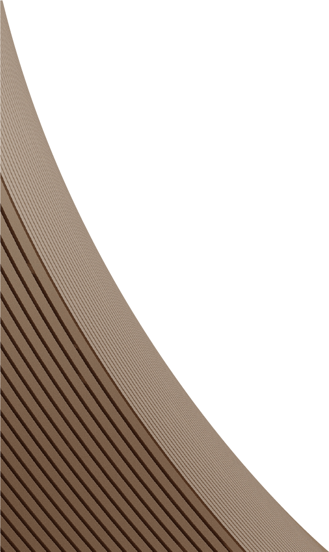 bottom Left Decoration