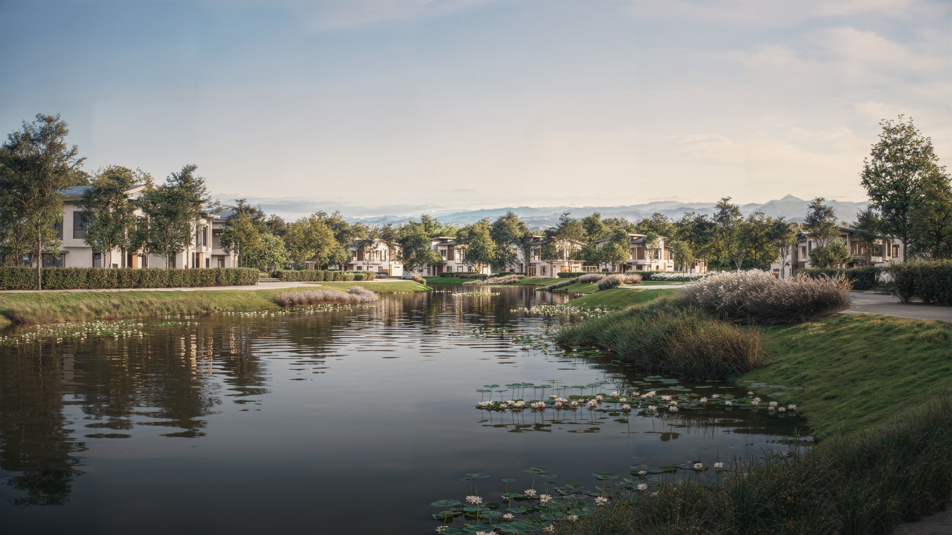 Lake Image