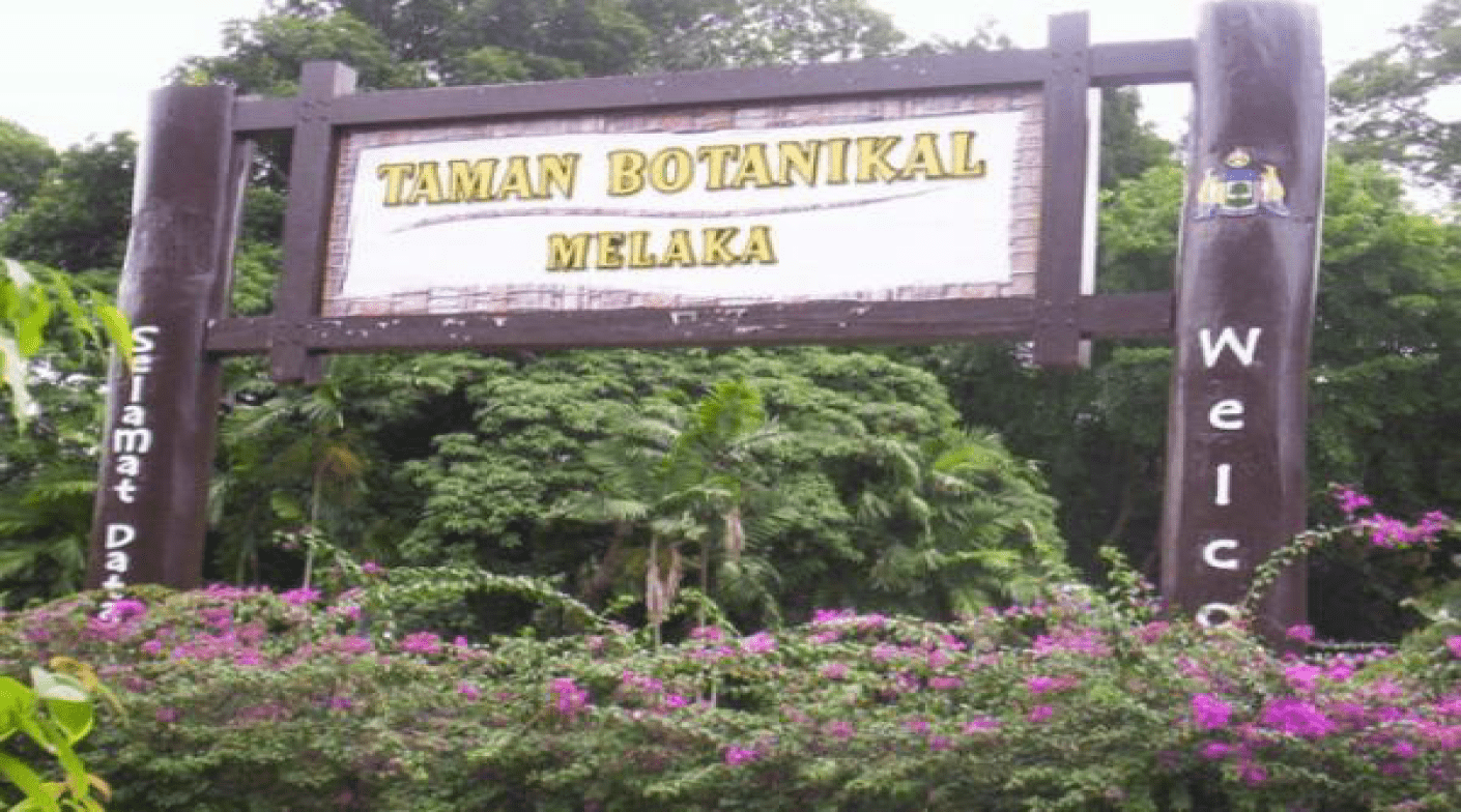 Taman Belia Antarabangsa' Back Lane